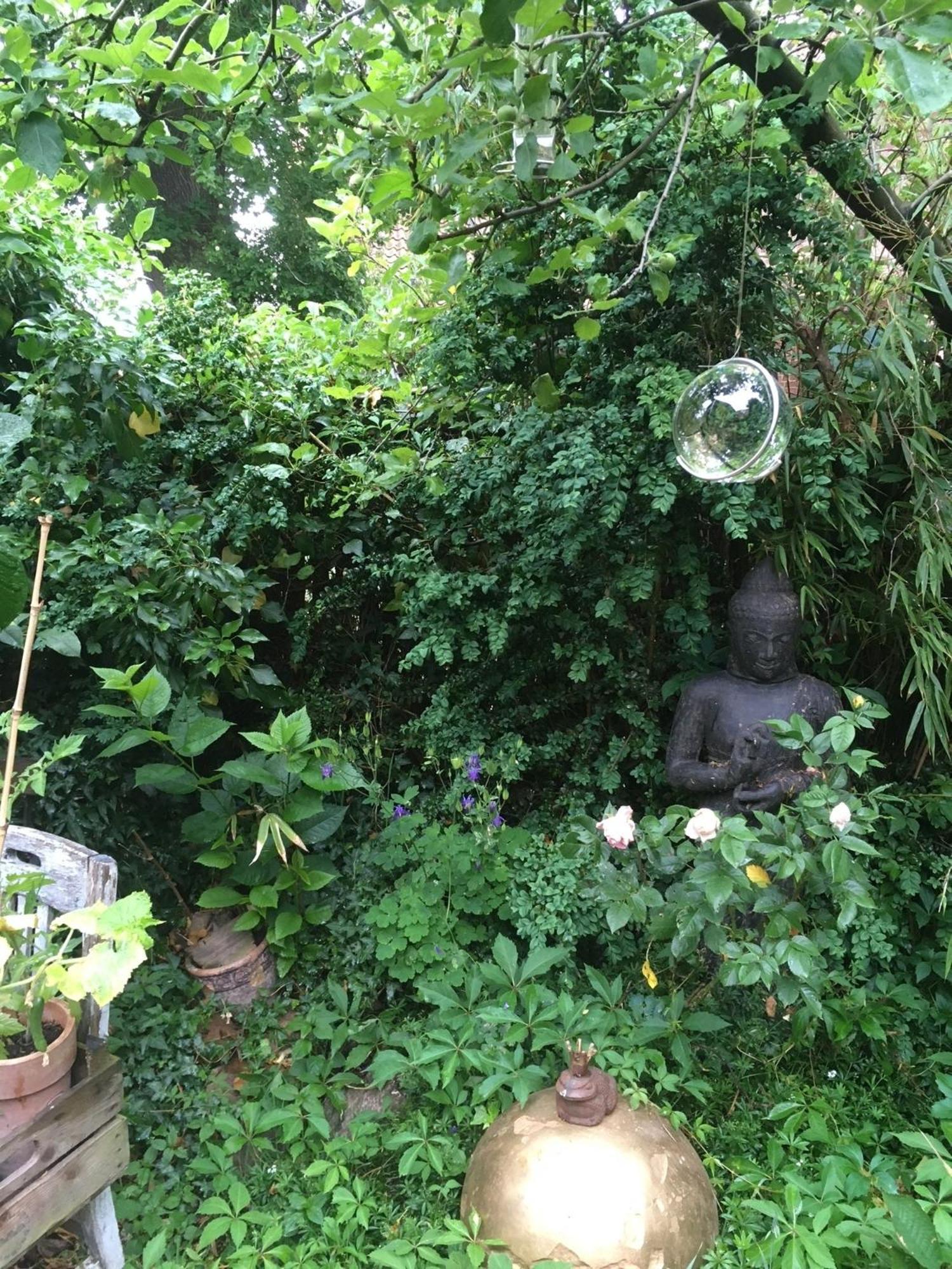 Grosse Hobbithoehle Mit Gemeinschaftsgarten Neustadt am Rübenberge Εξωτερικό φωτογραφία