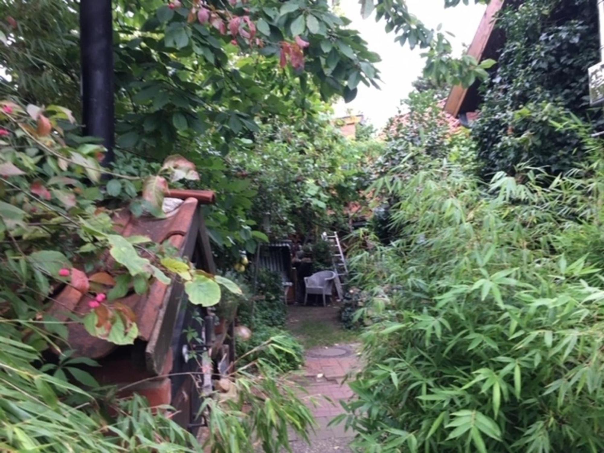 Grosse Hobbithoehle Mit Gemeinschaftsgarten Neustadt am Rübenberge Εξωτερικό φωτογραφία